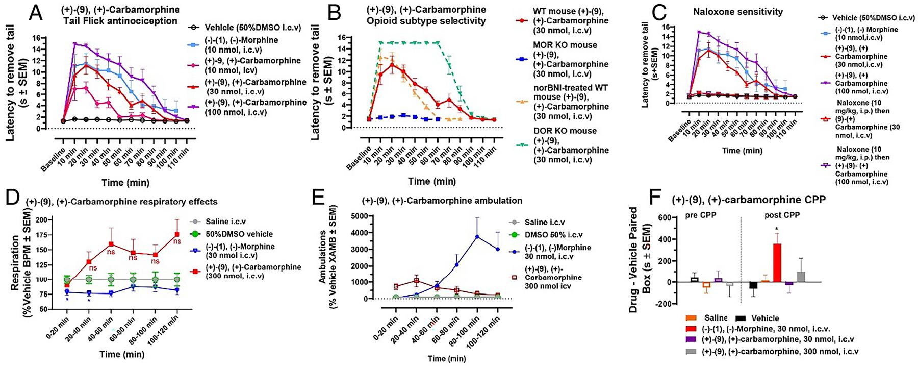 https://cdn.ncbi.nlm.nih.gov/pmc/blobs/9502/12594449/33f23a588cf4/nihms-2120307-f0005.jpg