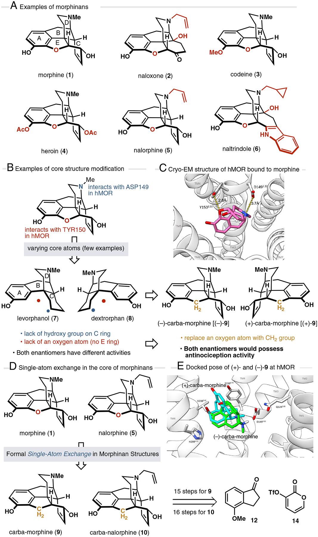 https://cdn.ncbi.nlm.nih.gov/pmc/blobs/9502/12594449/9661904a684c/nihms-2120307-f0001.jpg