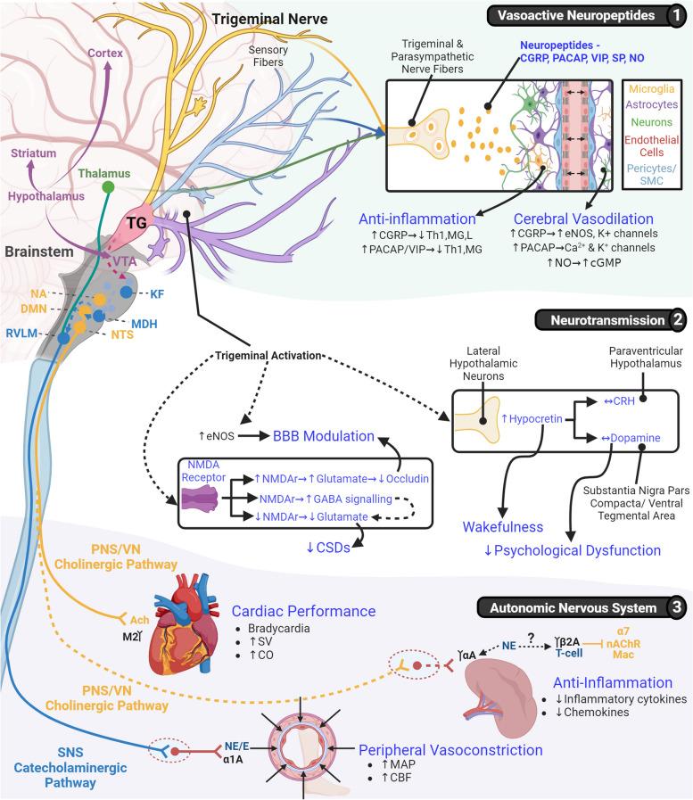 https://cdn.ncbi.nlm.nih.gov/pmc/blobs/9503/10717521/a09598f68afc/42234_2023_128_Fig3_HTML.jpg
