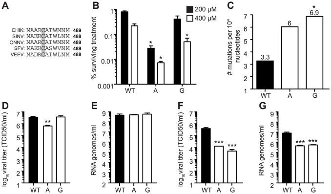 https://cdn.ncbi.nlm.nih.gov/pmc/blobs/9504/3894214/122cf5623e07/ppat.1003877.g008.jpg