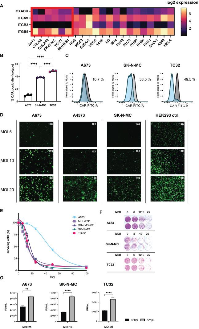https://cdn.ncbi.nlm.nih.gov/pmc/blobs/9505/10839048/2dfb663a1ec3/fimmu-15-1330868-g001.jpg