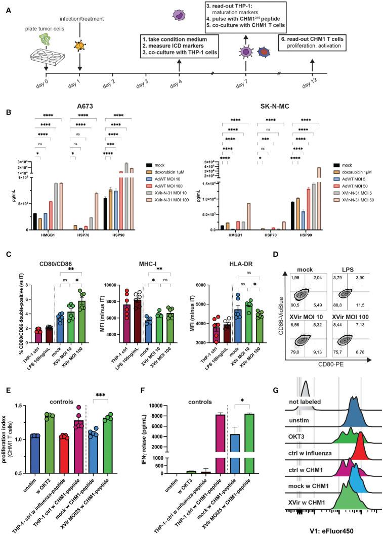 https://cdn.ncbi.nlm.nih.gov/pmc/blobs/9505/10839048/bf5454923597/fimmu-15-1330868-g004.jpg