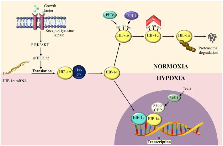 https://cdn.ncbi.nlm.nih.gov/pmc/blobs/9507/9008776/81e96255589a/fgene-13-849040-g001.jpg