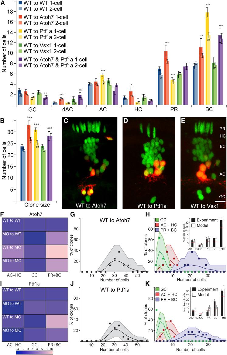 https://cdn.ncbi.nlm.nih.gov/pmc/blobs/950a/4572358/a4c78436b8f2/gr6.jpg