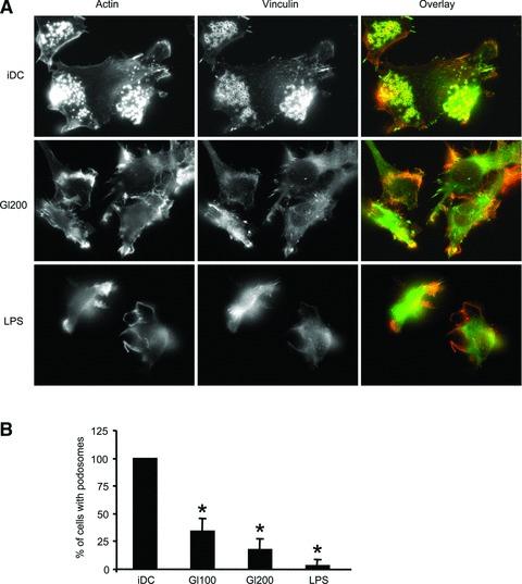 https://cdn.ncbi.nlm.nih.gov/pmc/blobs/950b/3922678/635eef3865fa/jcmm0015-0938-f2.jpg