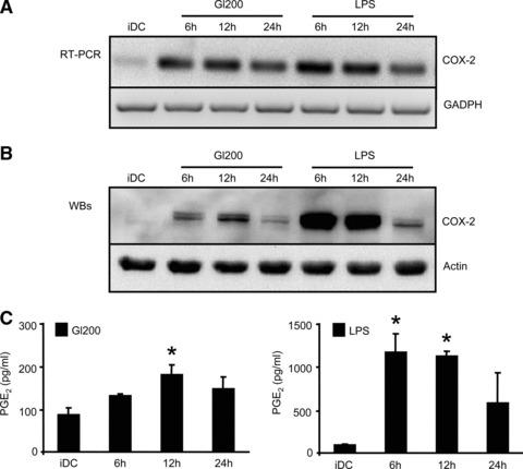 https://cdn.ncbi.nlm.nih.gov/pmc/blobs/950b/3922678/bec71976bdaf/jcmm0015-0938-f4.jpg