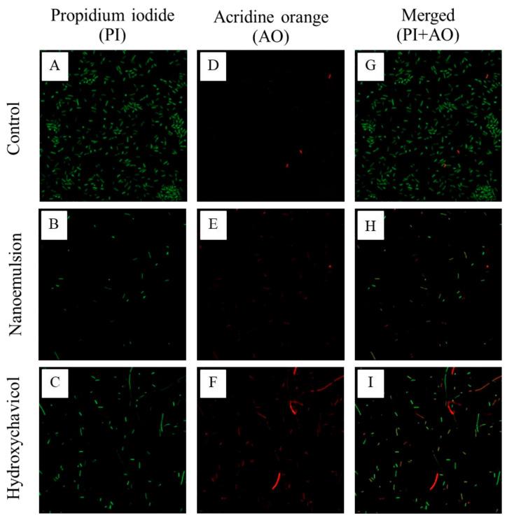 https://cdn.ncbi.nlm.nih.gov/pmc/blobs/950c/12382705/0e9d4dc1b733/antibiotics-14-00788-g004.jpg