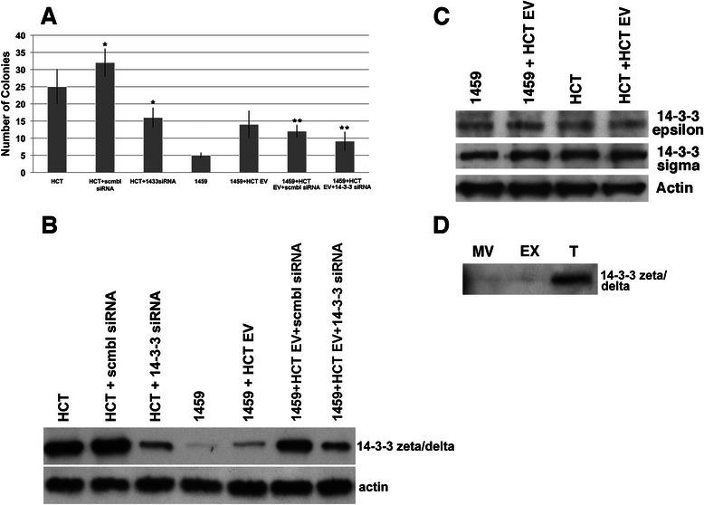 https://cdn.ncbi.nlm.nih.gov/pmc/blobs/950c/4522096/94276efa8235/12885_2015_1568_Fig5_HTML.jpg