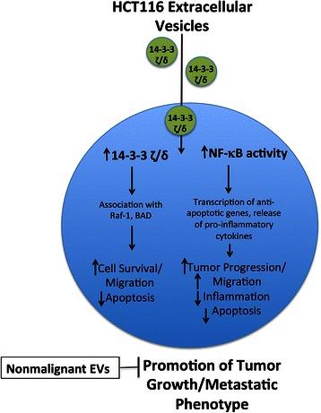 https://cdn.ncbi.nlm.nih.gov/pmc/blobs/950c/4522096/e765ca62c907/12885_2015_1568_Fig6_HTML.jpg