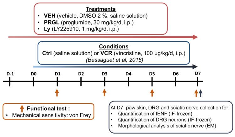 https://cdn.ncbi.nlm.nih.gov/pmc/blobs/950d/9788598/e6c4c06da9e0/pharmaceutics-14-02823-g001.jpg