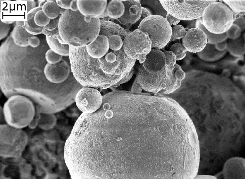 https://cdn.ncbi.nlm.nih.gov/pmc/blobs/9511/4671534/7bd5ac28e1fb/cm-2014-03064f_0014.jpg