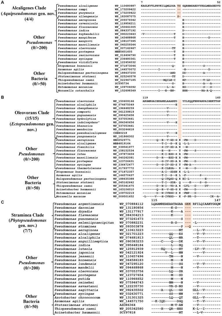 https://cdn.ncbi.nlm.nih.gov/pmc/blobs/9513/10797017/2db968ecd5d8/fmicb-14-1273665-g003.jpg