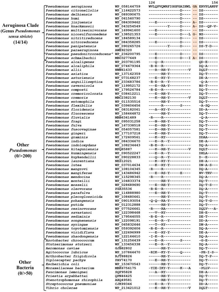 https://cdn.ncbi.nlm.nih.gov/pmc/blobs/9513/10797017/436dcffa4d15/fmicb-14-1273665-g002.jpg