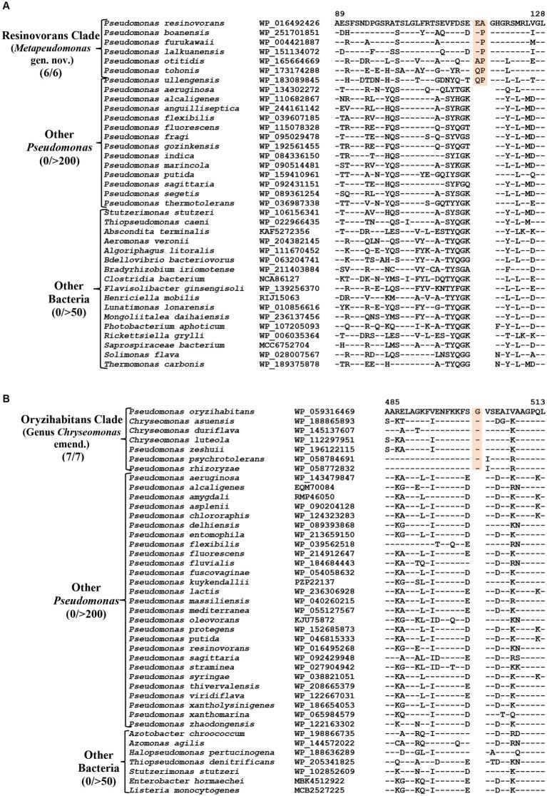 https://cdn.ncbi.nlm.nih.gov/pmc/blobs/9513/10797017/f6667252b693/fmicb-14-1273665-g005.jpg