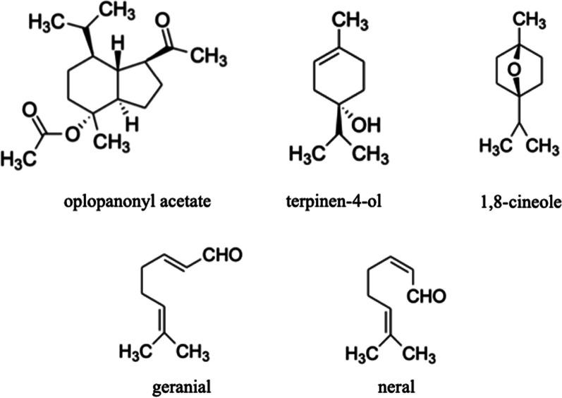 https://cdn.ncbi.nlm.nih.gov/pmc/blobs/9515/10758378/813b2d4e07d2/13659_2023_417_Fig1_HTML.jpg