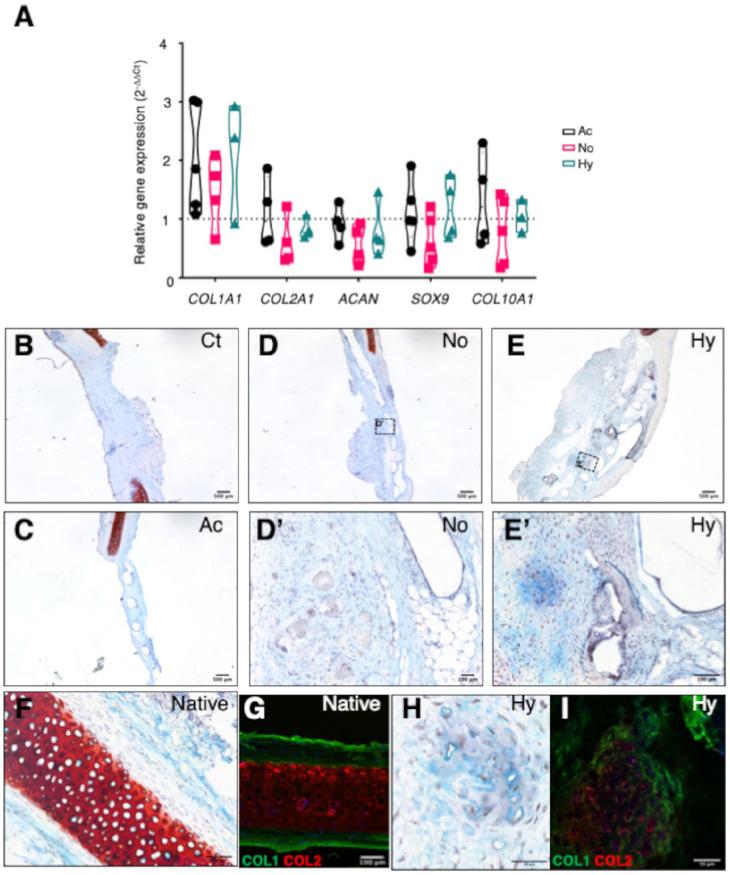 https://cdn.ncbi.nlm.nih.gov/pmc/blobs/9515/9924975/8a32ceef7e4d/10.1177_19476035221127638-fig6.jpg