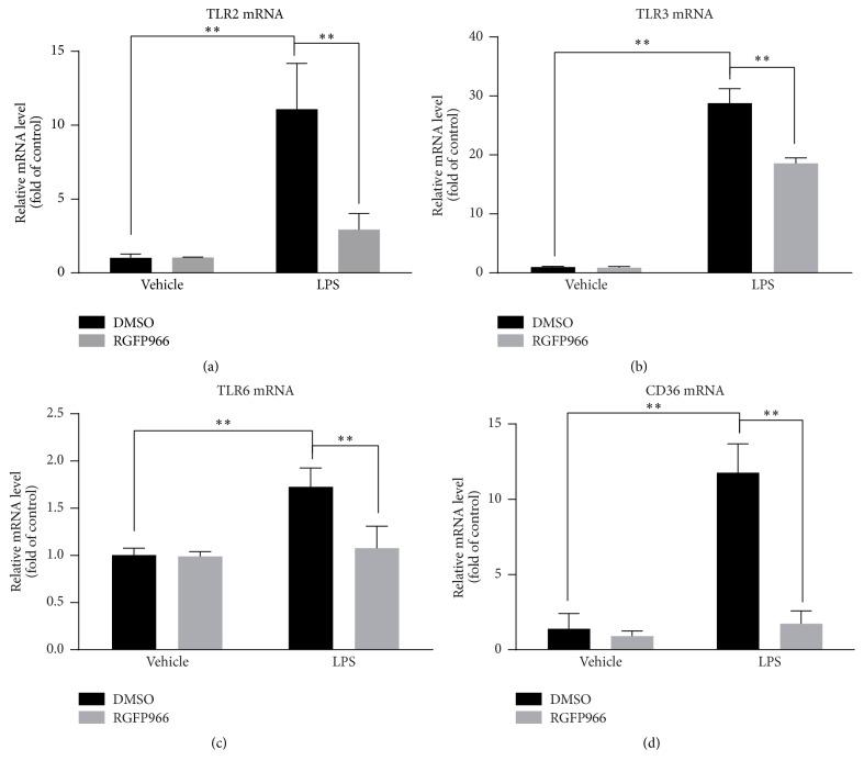 https://cdn.ncbi.nlm.nih.gov/pmc/blobs/9516/5331322/7b807a8c7147/NP2017-6237351.006.jpg