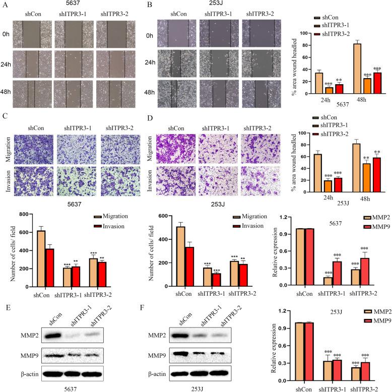 https://cdn.ncbi.nlm.nih.gov/pmc/blobs/951a/7877014/3c3d5fdf3dd5/13046_2021_1866_Fig4_HTML.jpg