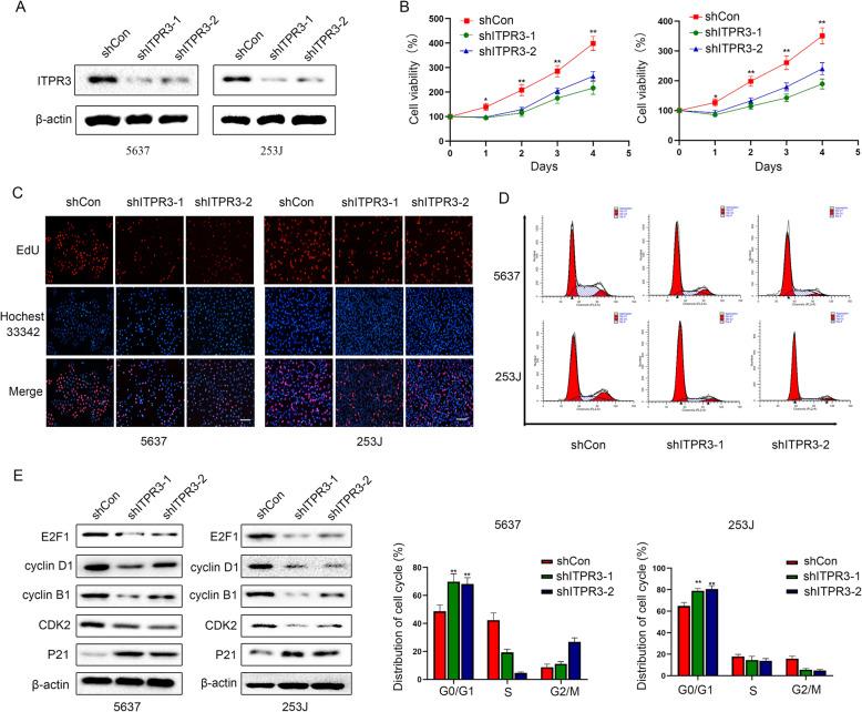 https://cdn.ncbi.nlm.nih.gov/pmc/blobs/951a/7877014/4a970ff8ba46/13046_2021_1866_Fig3_HTML.jpg