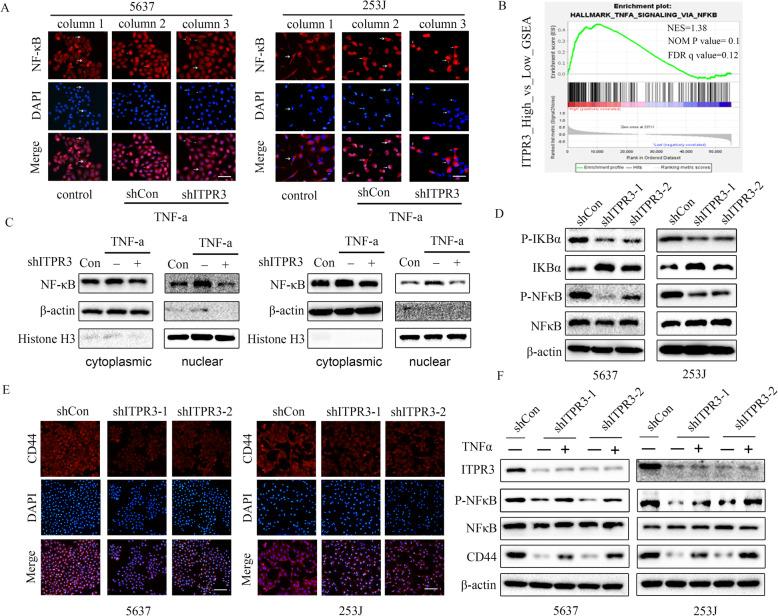 https://cdn.ncbi.nlm.nih.gov/pmc/blobs/951a/7877014/6c69ca34568e/13046_2021_1866_Fig7_HTML.jpg