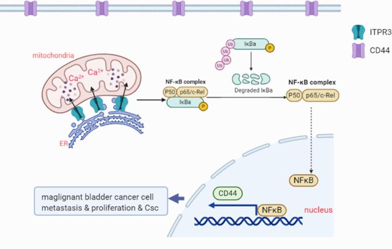 https://cdn.ncbi.nlm.nih.gov/pmc/blobs/951a/7877014/92bd87d68bcf/13046_2021_1866_Fig12_HTML.jpg