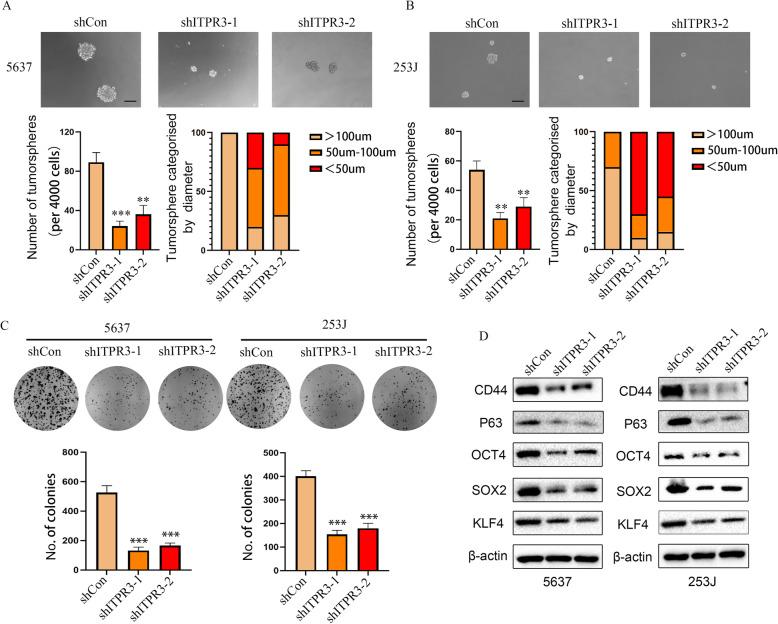 https://cdn.ncbi.nlm.nih.gov/pmc/blobs/951a/7877014/acacd9c709d9/13046_2021_1866_Fig6_HTML.jpg