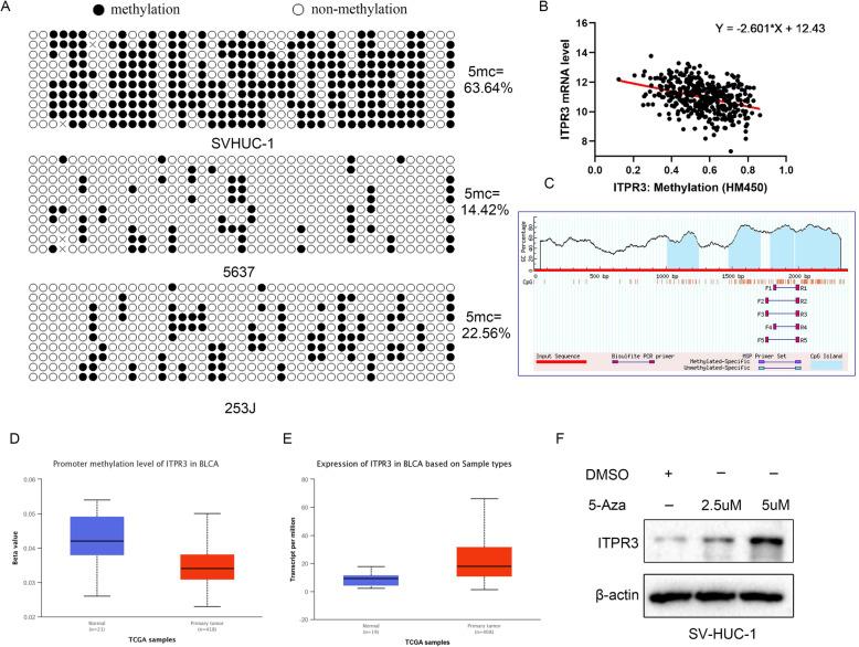 https://cdn.ncbi.nlm.nih.gov/pmc/blobs/951a/7877014/c94004e9a9cd/13046_2021_1866_Fig2_HTML.jpg