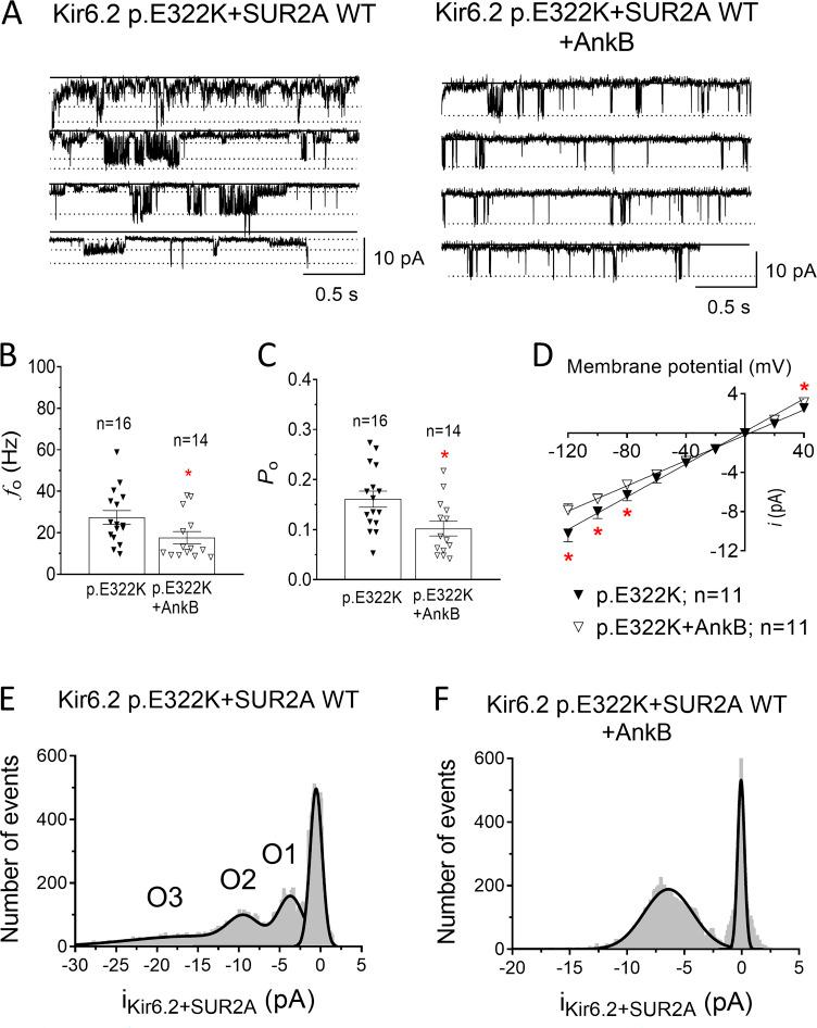https://cdn.ncbi.nlm.nih.gov/pmc/blobs/951b/9614705/5ec4e18b540f/JGP_202112995_Fig13.jpg