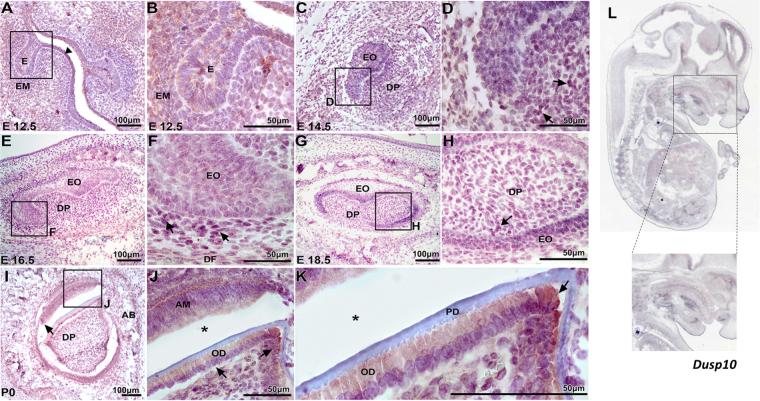https://cdn.ncbi.nlm.nih.gov/pmc/blobs/9520/5813178/486af2334cab/41598_2018_21368_Fig2_HTML.jpg