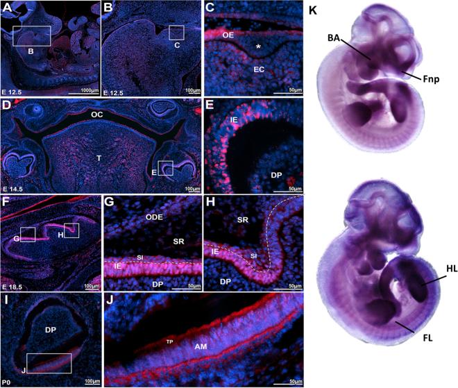 https://cdn.ncbi.nlm.nih.gov/pmc/blobs/9520/5813178/a918b94953ba/41598_2018_21368_Fig1_HTML.jpg