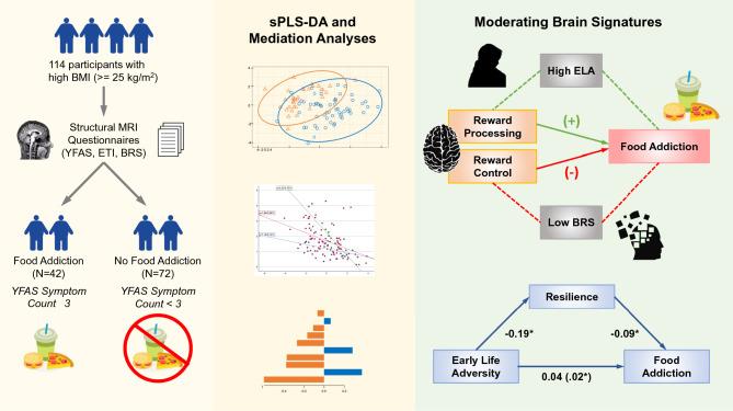 https://cdn.ncbi.nlm.nih.gov/pmc/blobs/9521/11161480/916eadaf64fa/41598_2024_63414_Fig1_HTML.jpg
