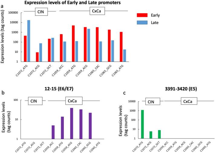 https://cdn.ncbi.nlm.nih.gov/pmc/blobs/9521/7582169/fd77efe74e84/41598_2020_75133_Fig5_HTML.jpg