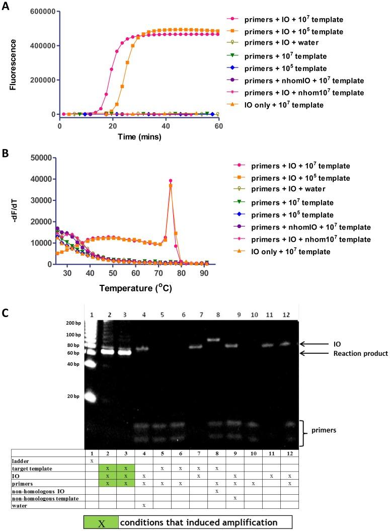 https://cdn.ncbi.nlm.nih.gov/pmc/blobs/9524/4242538/72161262a8bf/pone.0112656.g002.jpg