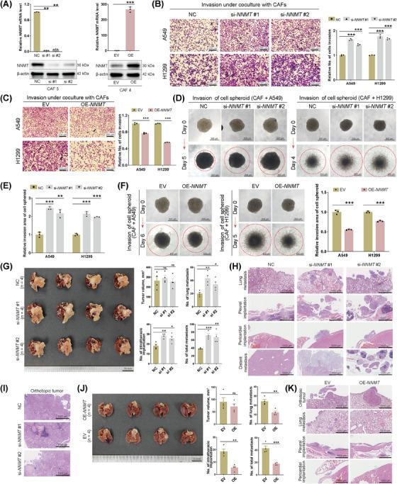 https://cdn.ncbi.nlm.nih.gov/pmc/blobs/9525/11833673/00d4852a1cbc/CAC2-45-110-g002.jpg
