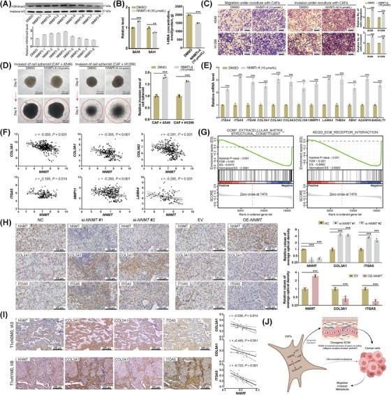 https://cdn.ncbi.nlm.nih.gov/pmc/blobs/9525/11833673/48b826071fb6/CAC2-45-110-g004.jpg