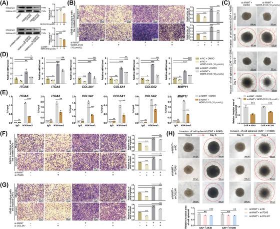 https://cdn.ncbi.nlm.nih.gov/pmc/blobs/9525/11833673/815e19dedba1/CAC2-45-110-g003.jpg