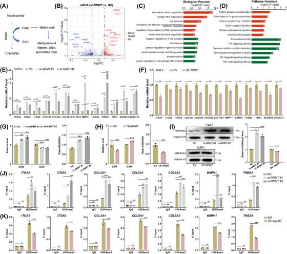 https://cdn.ncbi.nlm.nih.gov/pmc/blobs/9525/11833673/bb0af8932671/CAC2-45-110-g001.jpg