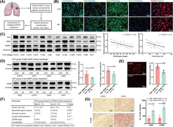 https://cdn.ncbi.nlm.nih.gov/pmc/blobs/9525/11833673/bd9c4acbe5be/CAC2-45-110-g005.jpg