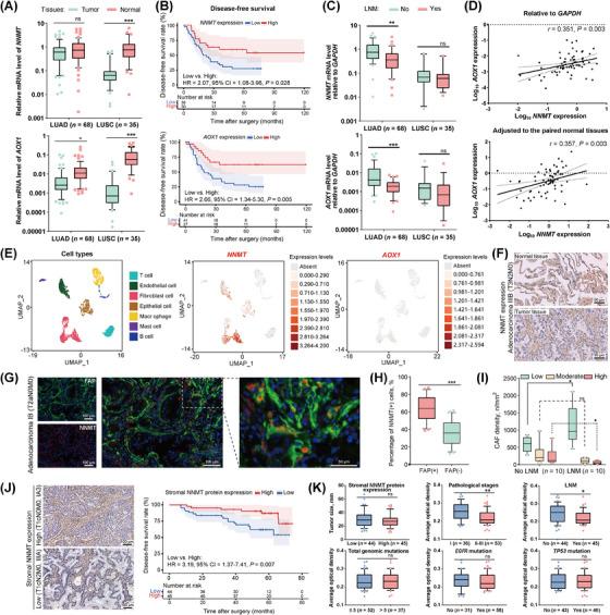 https://cdn.ncbi.nlm.nih.gov/pmc/blobs/9525/11833673/de945511f121/CAC2-45-110-g006.jpg