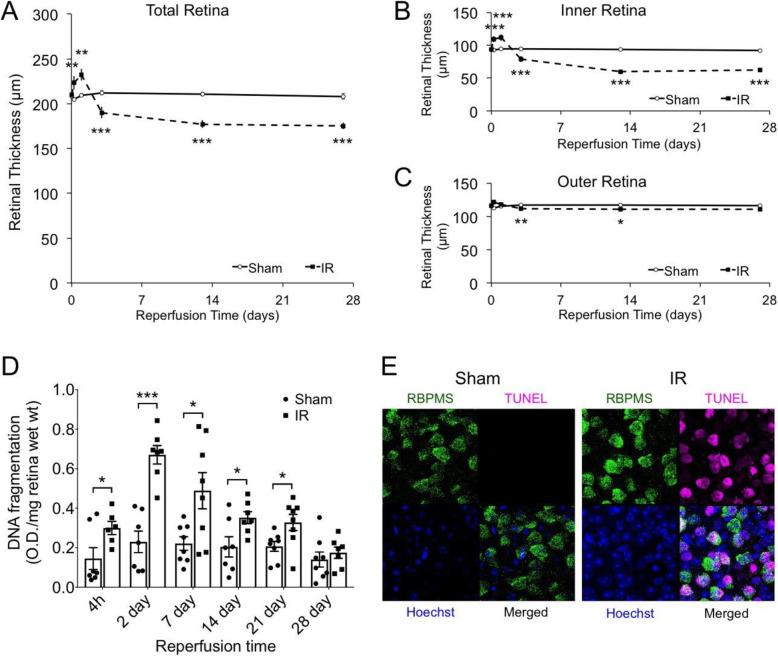 https://cdn.ncbi.nlm.nih.gov/pmc/blobs/9527/8394696/12bd9e3a3022/12974_2021_2237_Fig1_HTML.jpg