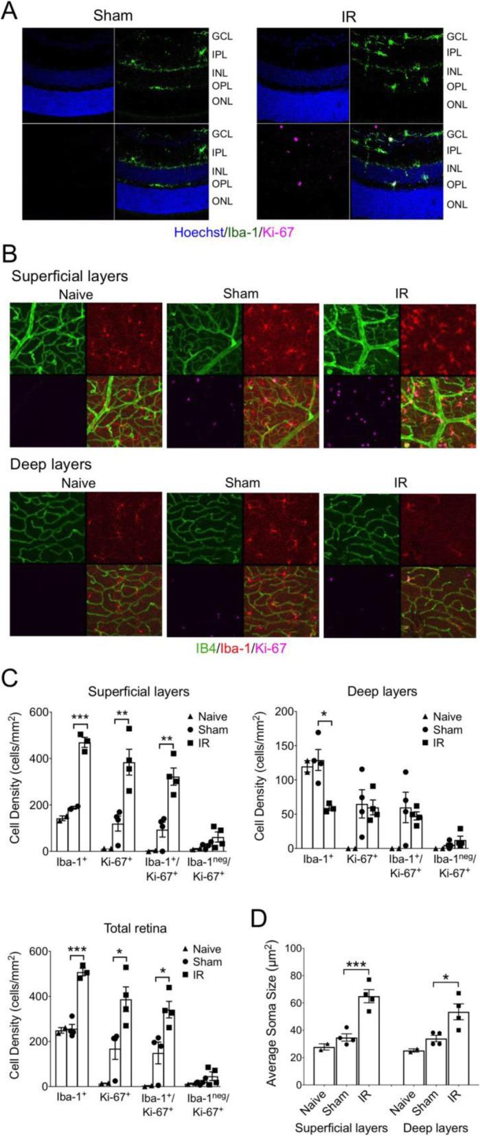 https://cdn.ncbi.nlm.nih.gov/pmc/blobs/9527/8394696/3d2a45ed273f/12974_2021_2237_Fig7_HTML.jpg