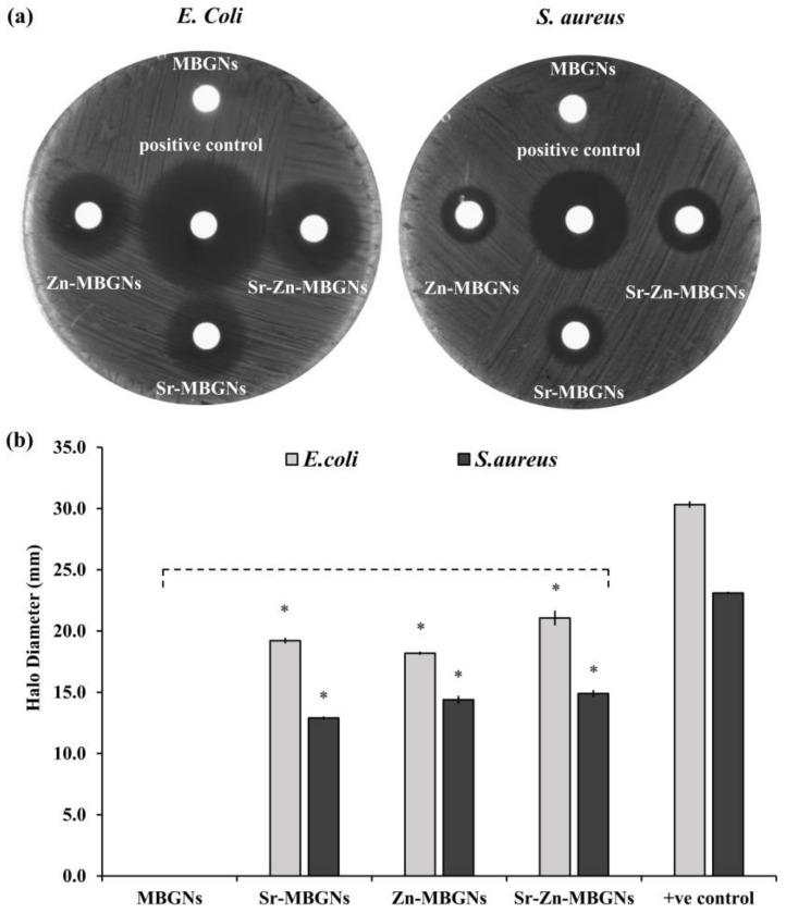 https://cdn.ncbi.nlm.nih.gov/pmc/blobs/9529/11013354/6c5318117091/nanomaterials-14-00575-g011.jpg