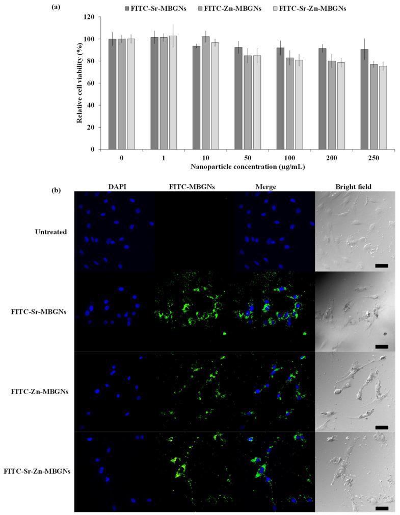 https://cdn.ncbi.nlm.nih.gov/pmc/blobs/9529/11013354/906bcb9901c7/nanomaterials-14-00575-g010.jpg