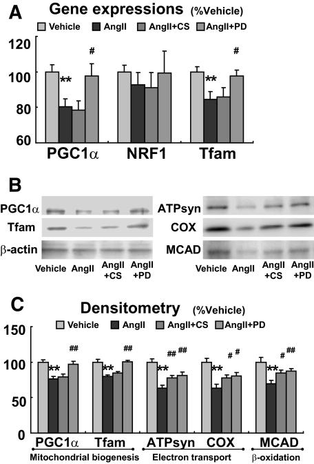 https://cdn.ncbi.nlm.nih.gov/pmc/blobs/952e/2646070/2fae1a146b21/zdb0030956450006.jpg