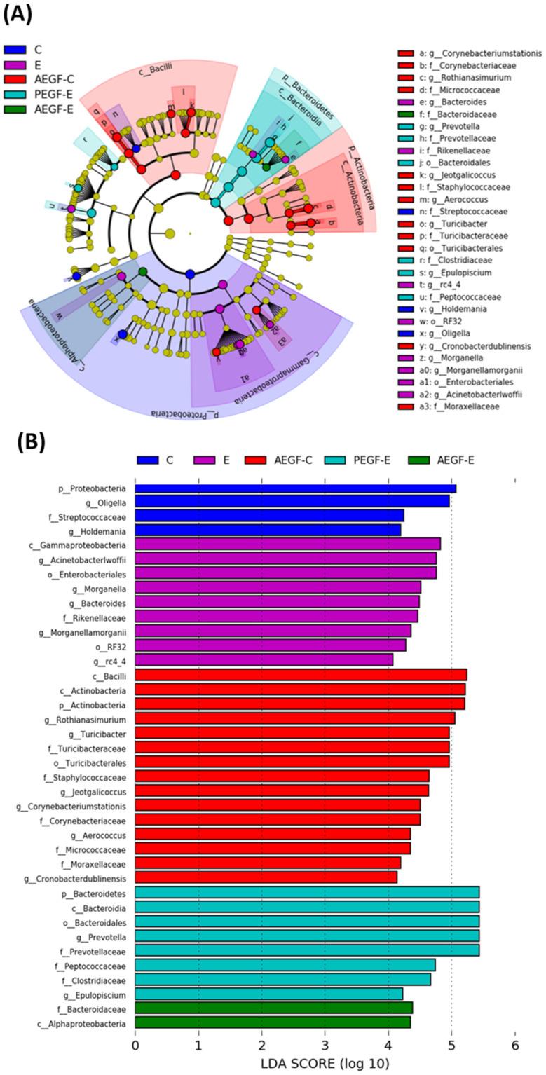 https://cdn.ncbi.nlm.nih.gov/pmc/blobs/952f/10219006/5455466556bd/ijms-24-08845-g005.jpg
