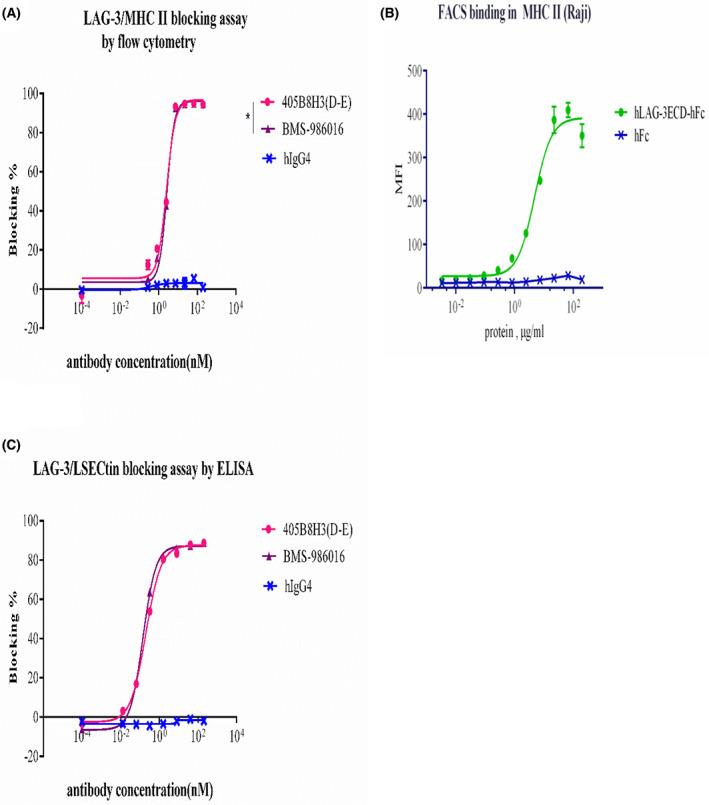 https://cdn.ncbi.nlm.nih.gov/pmc/blobs/952f/10315732/419ce06ebc0d/FEB4-13-1253-g003.jpg