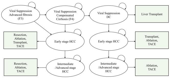 https://cdn.ncbi.nlm.nih.gov/pmc/blobs/9532/11323655/75dd1e7efbe2/12889_2024_19670_Fig1_HTML.jpg