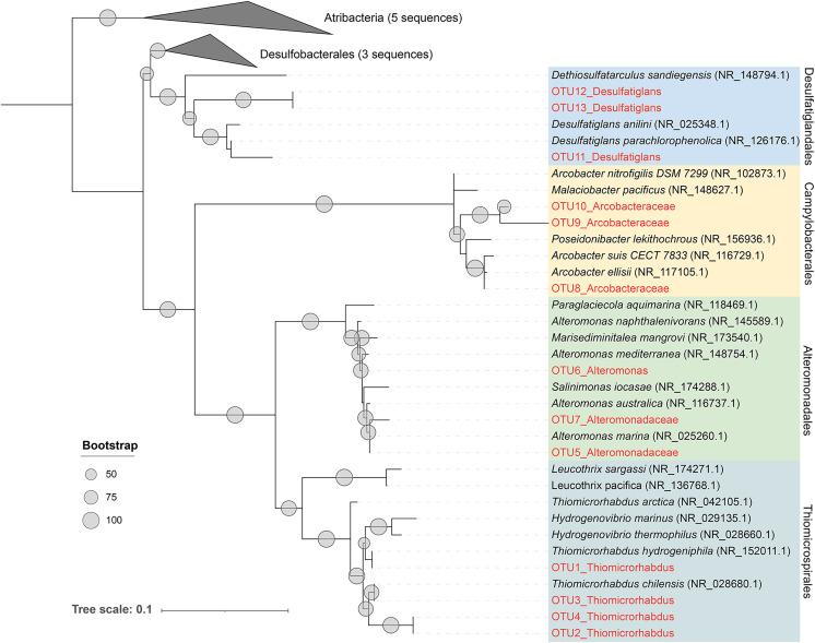 https://cdn.ncbi.nlm.nih.gov/pmc/blobs/9535/10629384/b2357a83a116/peerj-11-16257-g005.jpg