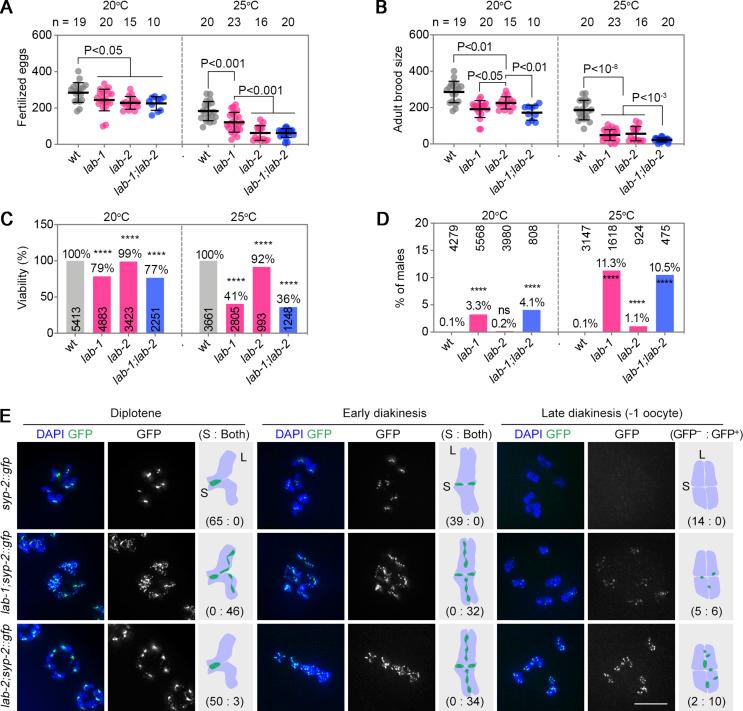 https://cdn.ncbi.nlm.nih.gov/pmc/blobs/9535/10666650/211e60201fa8/JCB_202212035_Fig5.jpg