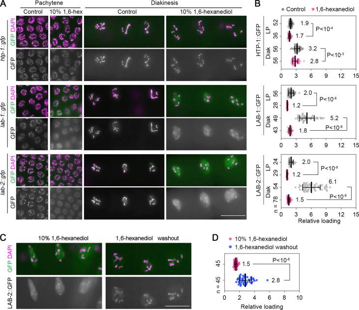 https://cdn.ncbi.nlm.nih.gov/pmc/blobs/9535/10666650/95c81c56c14a/JCB_202212035_Fig3.jpg